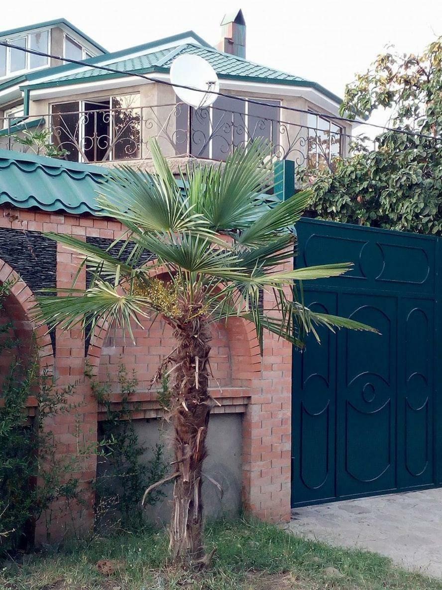 Green House Kachretʼi Exterior foto
